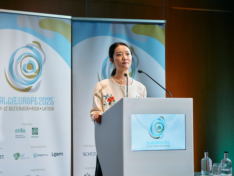 Fangting algaeurope 2025